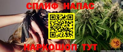 трава Кингисепп