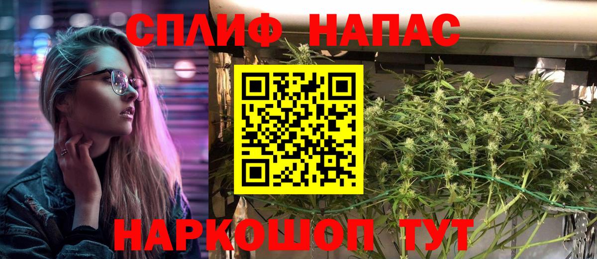 Конопля Bruce Banner Прокопьевск